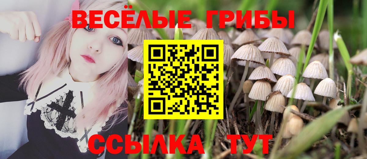 Псилоцибиновые грибы прущие грибы Улан-Удэ